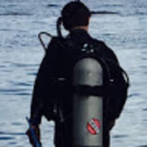 Meet your Posher, Ellis